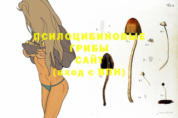 ешки Абаза